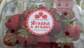 ИП Ясков Иван Сергеевич